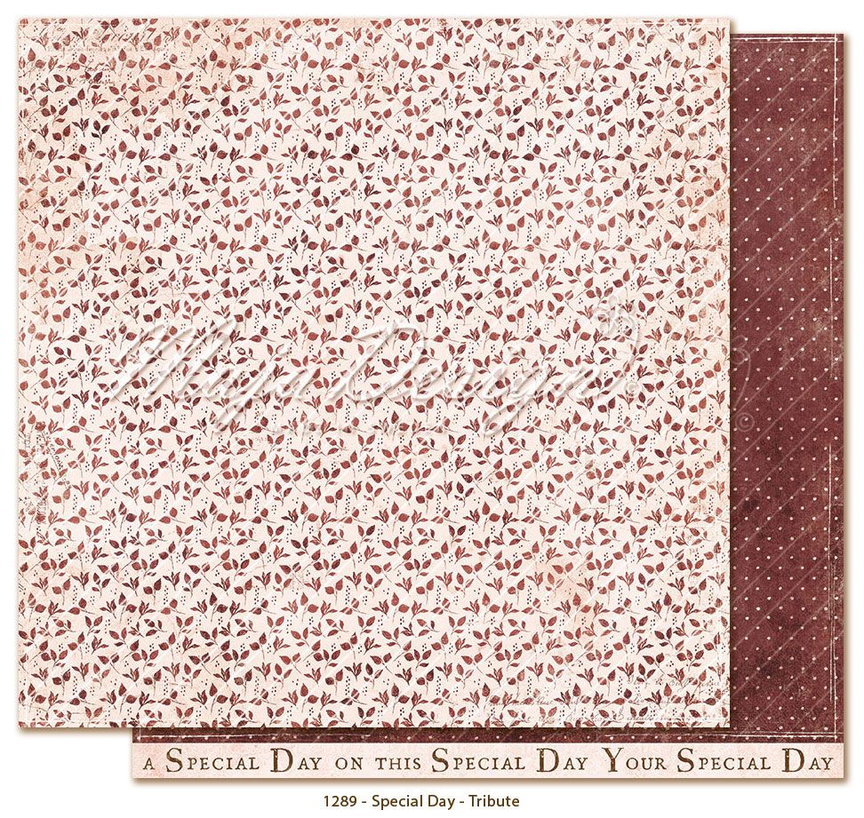 Maja Design, 6x6 Collection Pack: Special Day - Bild 2