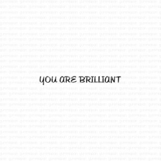 You are brilliant