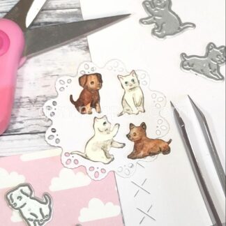 Hundvalpar & Kattungar