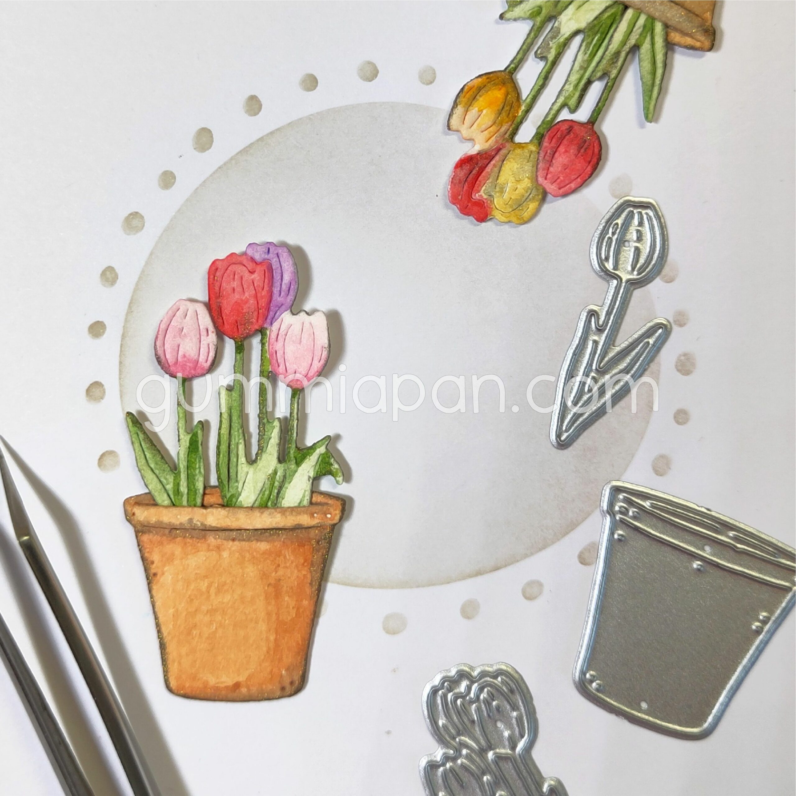 Tulips in a pot