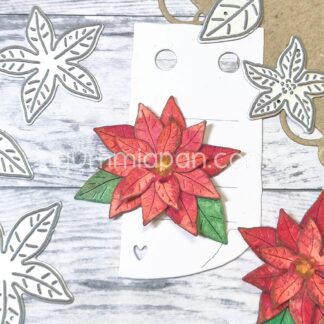 Smaller Poinsettia