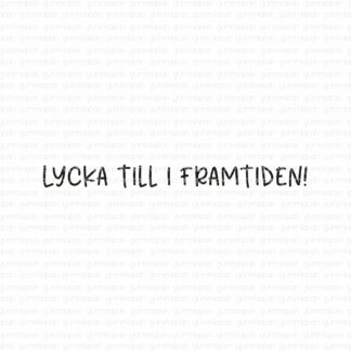 Lycka till i framtiden!