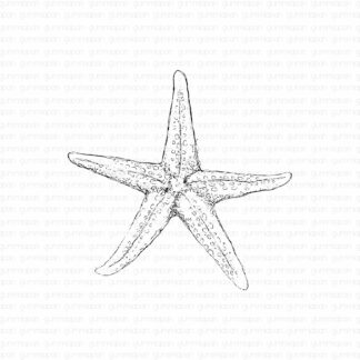 Sea Star