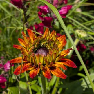 Påskträff 2-4 april 2026