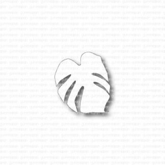 Small  Monstera