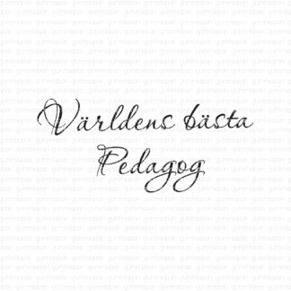 Världens bästa pedagog