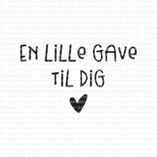En lille gave til dig