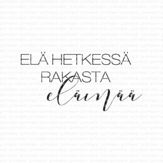 Elä hetkessä rakasta elämää