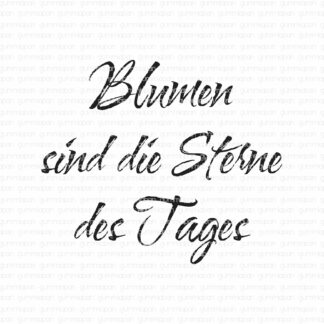 Blumen sind die Sterne des Tages