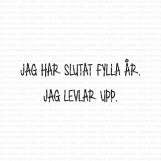 Jag har slutat fylla år. Jag levlar upp.