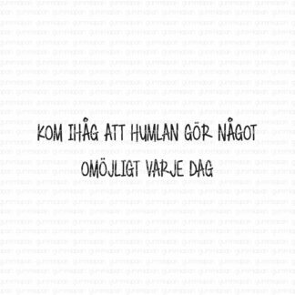Kom ihåg att humlan gör något omöjligt varje dag