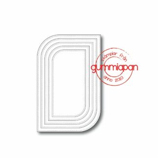 Pierced Rectangle-ish