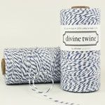 5 m Blueberry Divine Twine