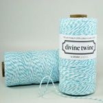5 m Aqua Divine Twine