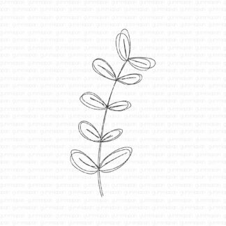 Doodled Boxwood Sprig