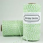 5 m Green Apple Divine Twine