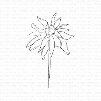 Doodled Coneflower