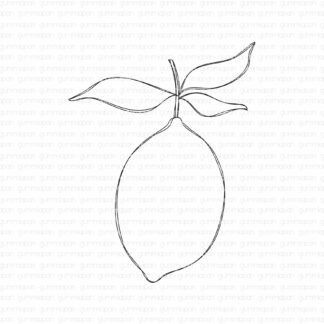 Doodled Lemon