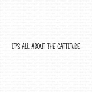 It's all about the cattitude