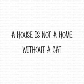 A house is not a home without a cat