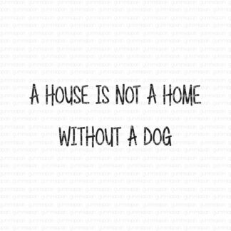 A house is not a home without a dog