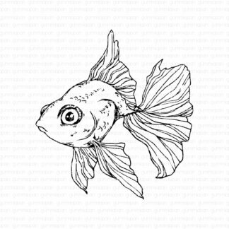 Goldfish