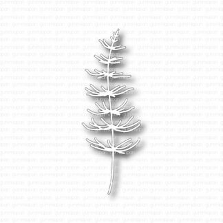 Åkerfräken, höger