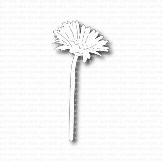 Gerbera viewed from side