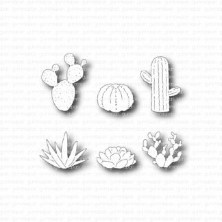 Kaktus set