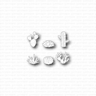 Mini Kaktus set