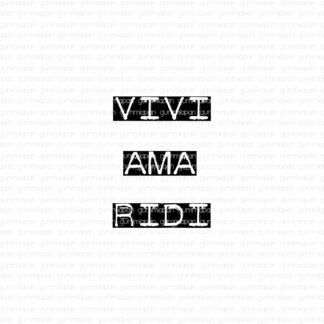 Vivi ama ridi