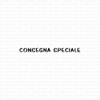 Consegna speciale