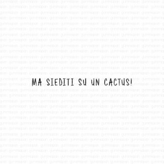 Ma siediti su un cactus!