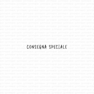 Consegna speciale