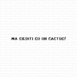 Ma siediti su un cactus!