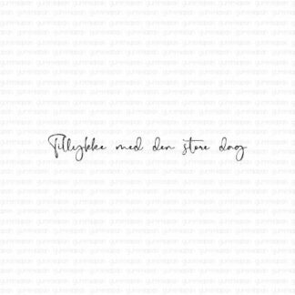 Tillykke Med Den Store Dag