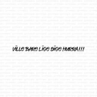 Ville Bare Lige Sige Hurra!!!