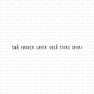 Små fødder laver også store spor!