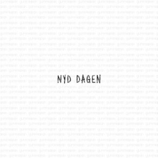 Nyd dagen