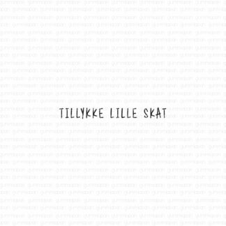 Tillykke lille skat