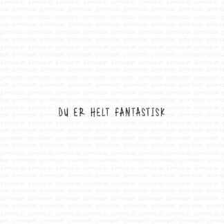 Du er helt fantastisk