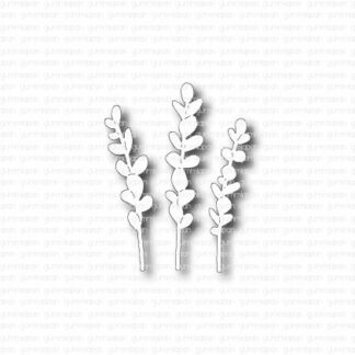 Små Eucalyptuskvistar