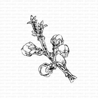 Twig with flower buds