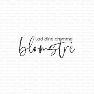 Lad dine drømme blomstre