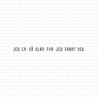 Jeg er så glad for jeg fandt dig