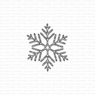 Middle-sized snowflake