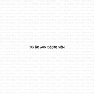 Du är min bästa vän