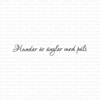 Hundar är änglar med päls