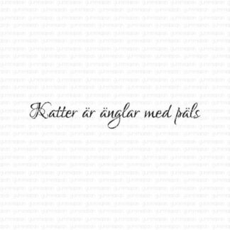 Katter är änglar med päls