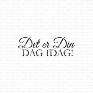 Det er Din DAG IDAG!